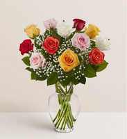 Mix Color Roses