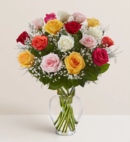 Mix Color Roses