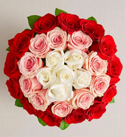 Ombre Roses
