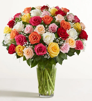 Ultimate Elegance™ Long Stem Assorted Roses