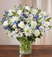 SINCEREST SORROW BLUE AND WHITE