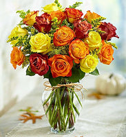 Autumn Roses