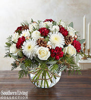 Natural Elegance Showing--$79.99