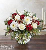 Natural Elegance Showing--$79.99
