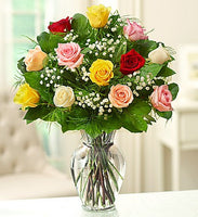 Rose Color Elegance