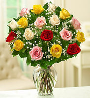 Rose Color Elegance