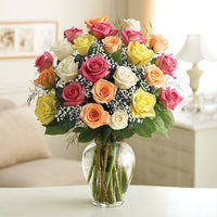 Rose Color Elegance