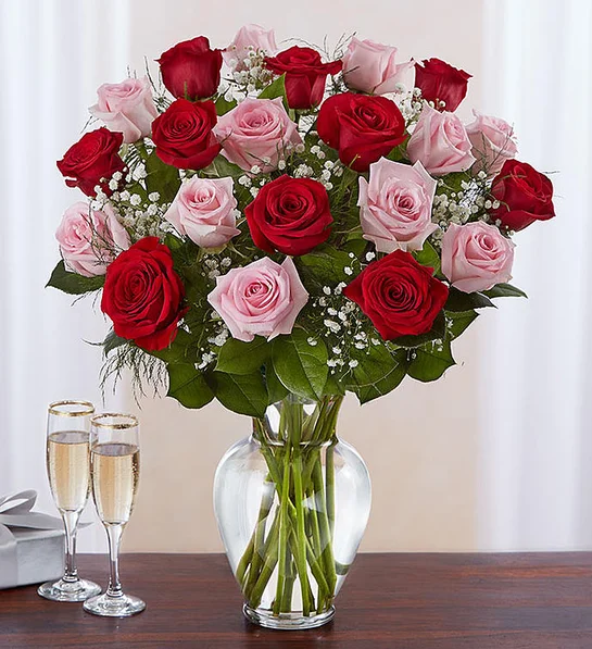 Twenty four red and pink roses in a vase