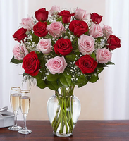 
              Ultimate Elegance™ Long Stem Pink & Red Roses
            