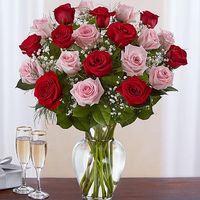 Ultimate Elegance™ Long Stem Pink & Red Roses