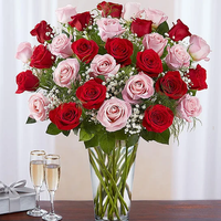 Ultimate Elegance™ Long Stem Pink & Red Roses