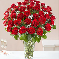 thirty six long stemmed red roses in a tall vase with babies breath same day fresh flowers delivery by local florist near Livermore,Pleasanton , Dublin