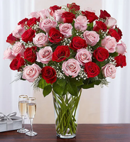
              Ultimate Elegance™ Long Stem Pink & Red Roses
            