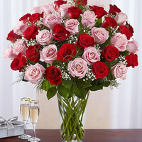 Ultimate Elegance™ Long Stem Pink & Red Roses