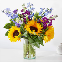 Sunflowers, delphiniums, stock and fillers