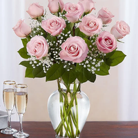 Rose Elegance Pink Roses