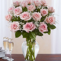Rose Elegance Pink Roses