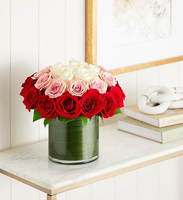
              Ombre Roses
            