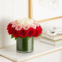 Ombre Roses