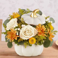 Plentiful White Pumpkin