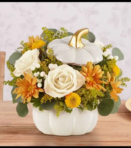 Plentiful White Pumpkin