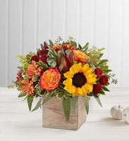 
              Harvest Glow Bouquet
            