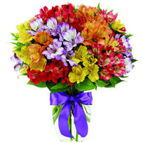 Alstromeria Rainbow Bouquet