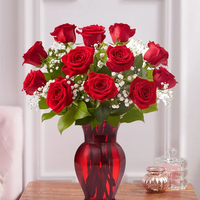 Dozen red roses with babies breath in a red vase for same day fresh flowers delivery by local florist near Livermore,Pleasanton , Dublin