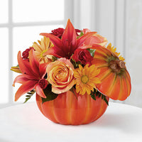 
              Bountiful From
            