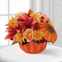 
              Bountiful From
            