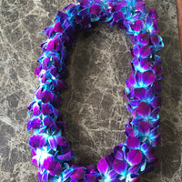 Double Purple and Blue Lei