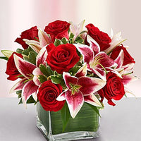 Red roses with stargazers in a glass cube vase for same day fresh flowers delivery by local florist near Livermore,Pleasanton , Dublin