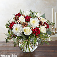 Natural Elegance Showing--$79.99