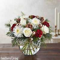 Natural Elegance Showing--$79.99