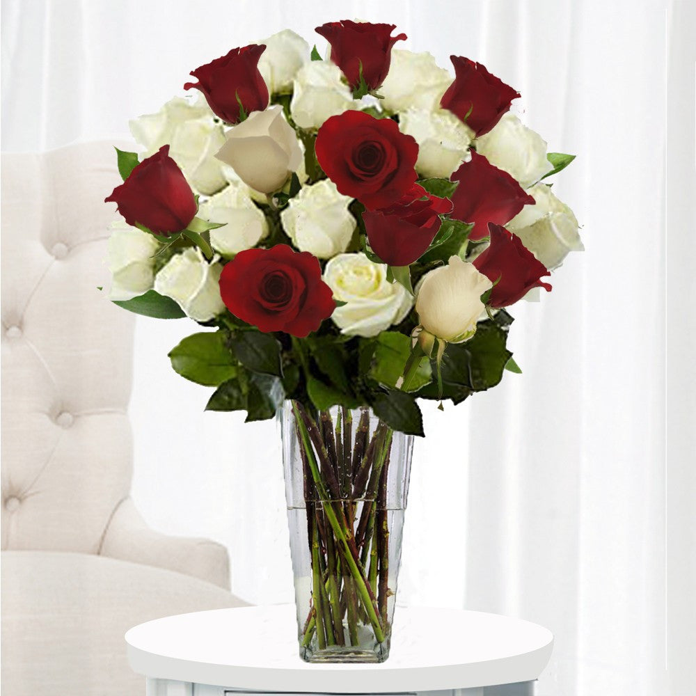 RED & WHITE ROSES MIX TWO DOZEN| Livermore Florist - Spring Garden Florist