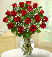 
              Eighteen Dozen Red Roses in a vase with babies breath Same day flowers delivery by local florist near Livermore, Pleasanton, Dublin
            