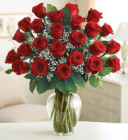 
              24 long stem red roses with babies breath in a vase Same day flowers delivery by local florist near Livermore, Pleasanton, Dublin
            
