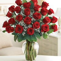 24 long stem red roses with babies breath in a vase Same day flowers delivery by local florist near Livermore, Pleasanton, Dublin