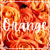 
              Three orange roses in a bud vase
            