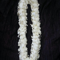Double White Orchid Lei