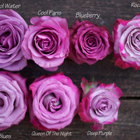 Rose Elegance Deep Purple